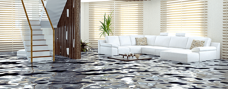 Water Damage Restoration Services Near You — 24/7 Emergency Response